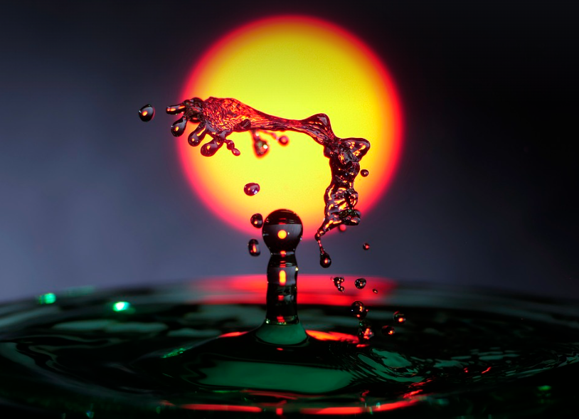 띠별 인간관계 특징과 주의점 (쥐·소·호랑이띠)