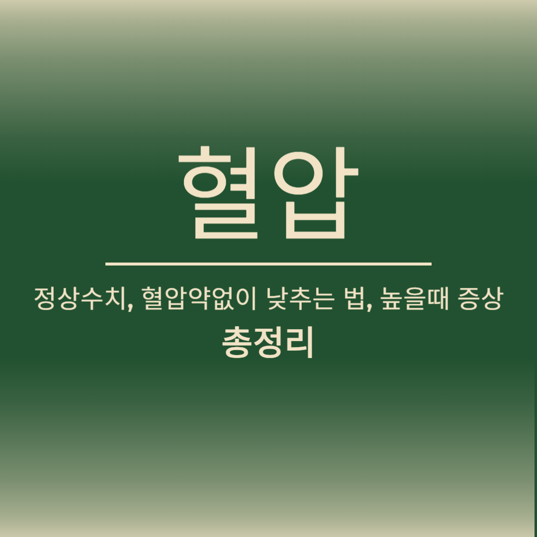 혈압 정상수치, 높을 때 증상, 혈압약 없이 낮추는 법 총정리!