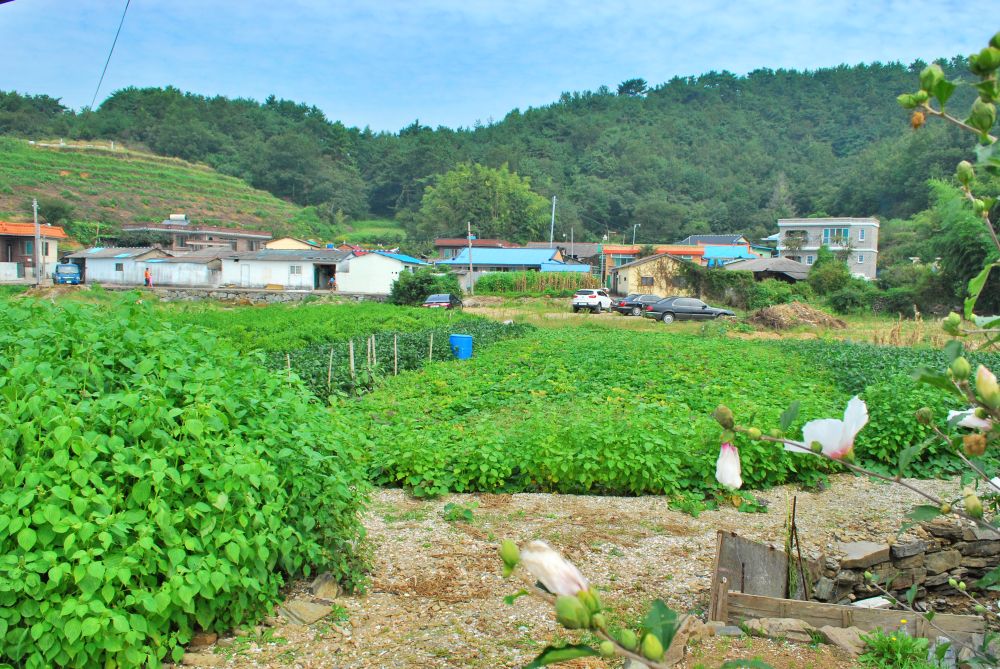 고성군 임포항