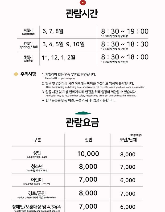제주도 눈올때 가볼만한곳