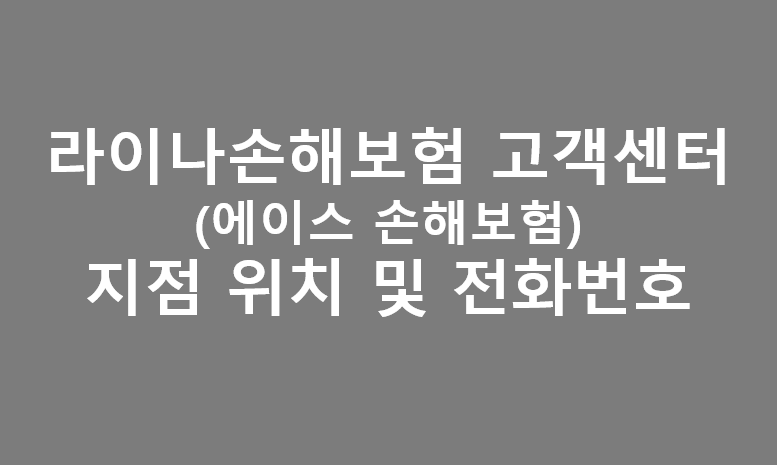 라이나손해보험 고객센터 전화번호