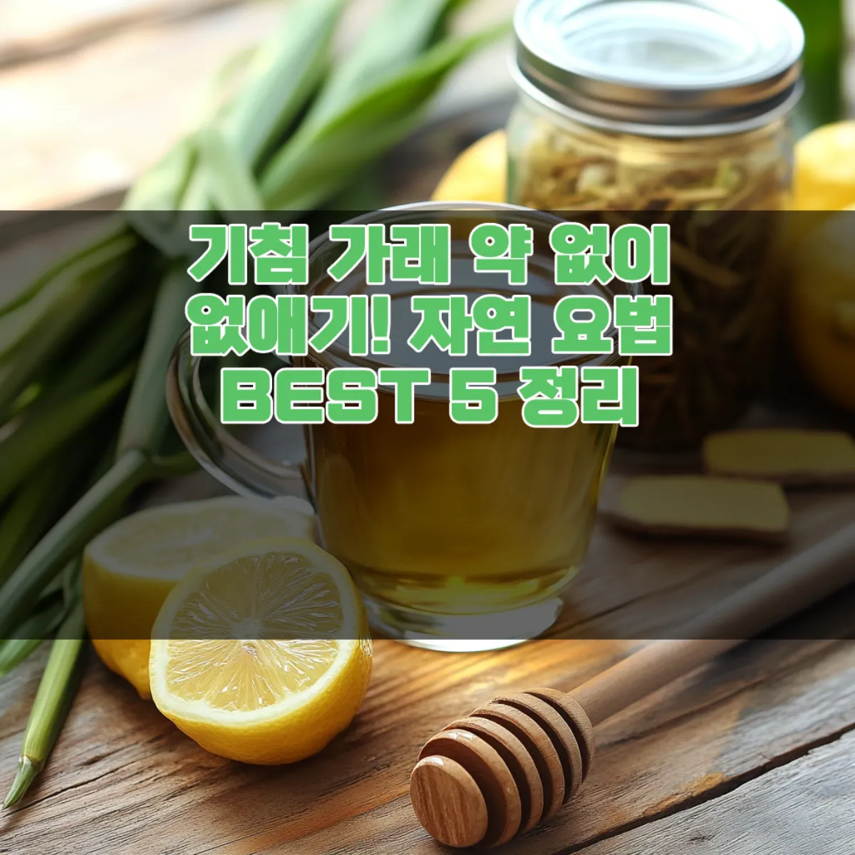 기침 가래 약 없이 없애기! 자연 요법 BEST 5 정리