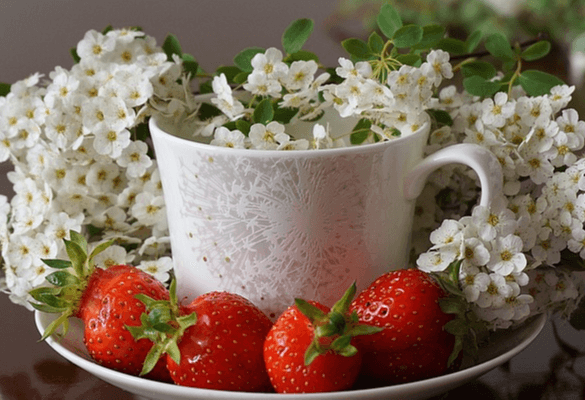하얀 도자기 그릇에 작고 예쁜 하얀꽃들이 가득 담겨있고 그릇 접시에도 하얀 꽃송이와 빨간 딸기 4개가 있다.