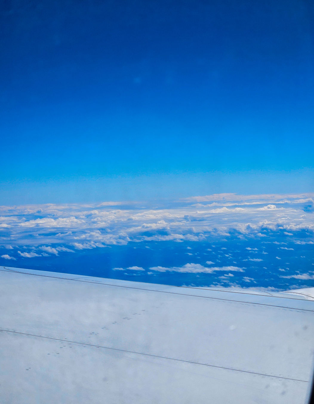 하와이 아시아나 항공 예약