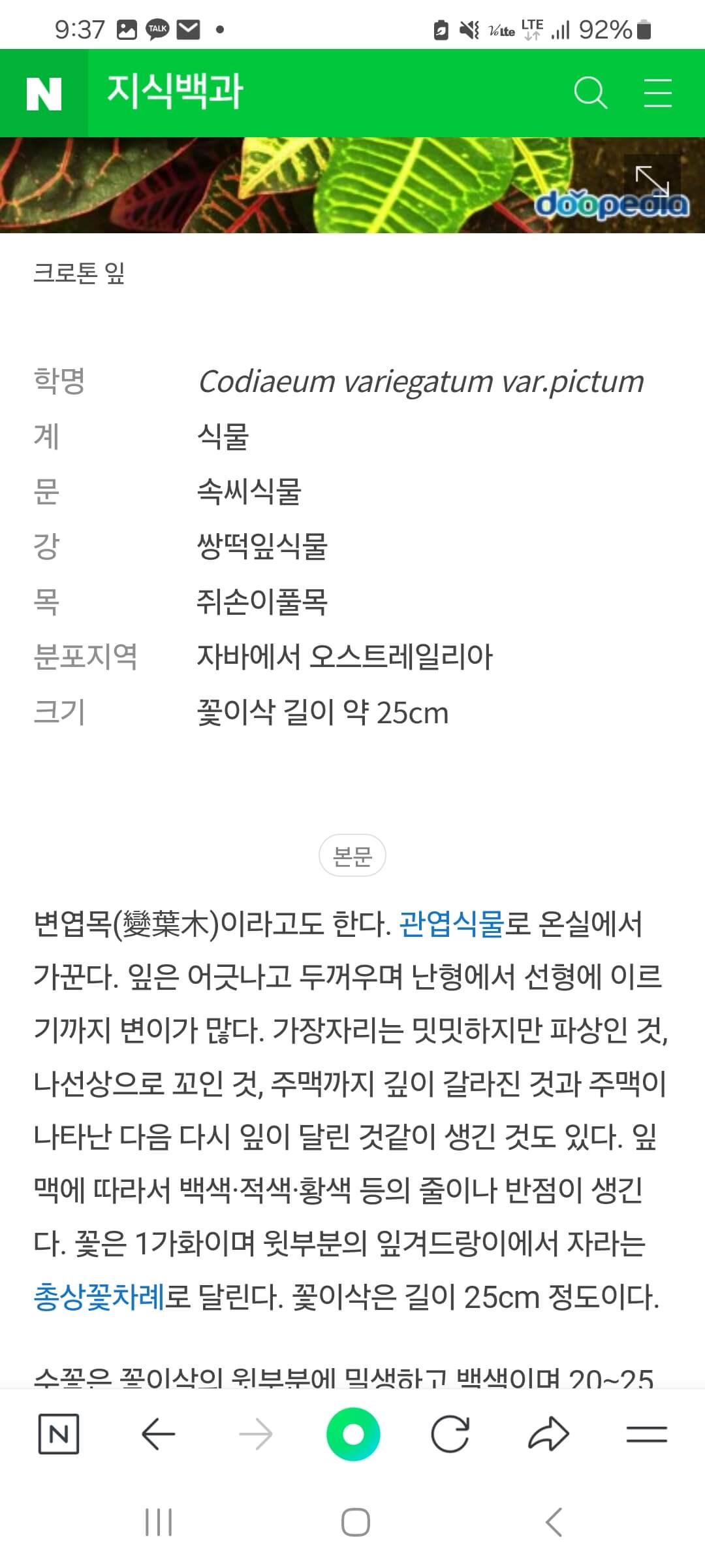 식물 이름 찾기