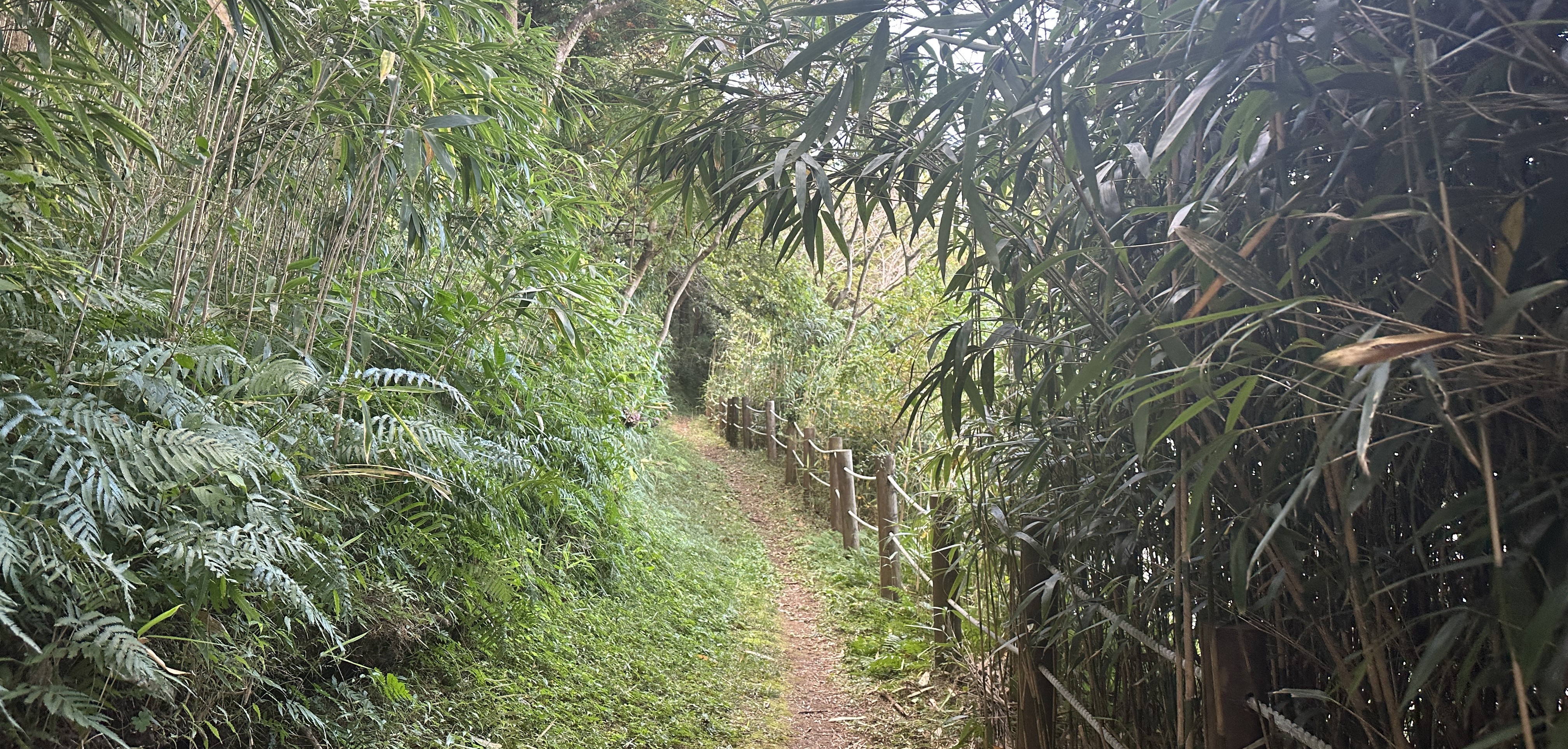 안세미 오름 둘레길