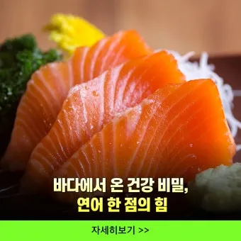 연어 효능 부작용 으로_21