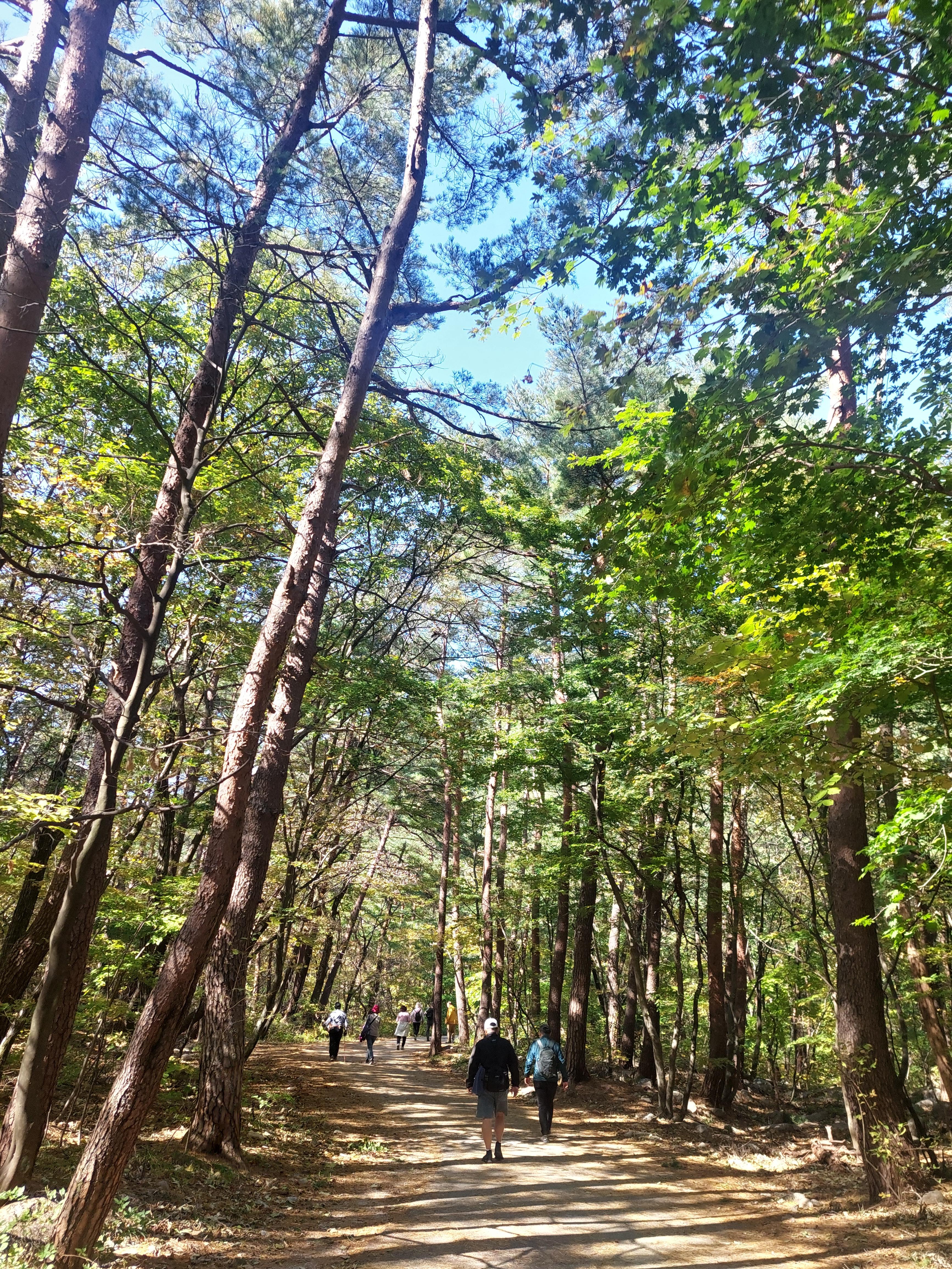 설악산
