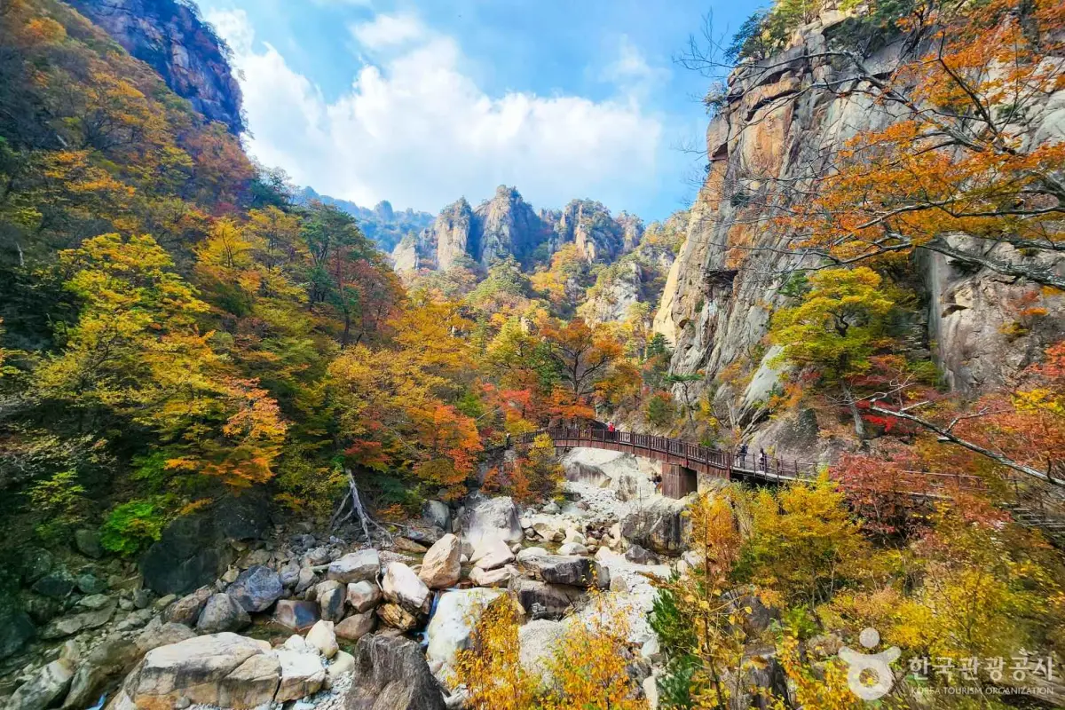 설악산 단풍 절정시기 주전골