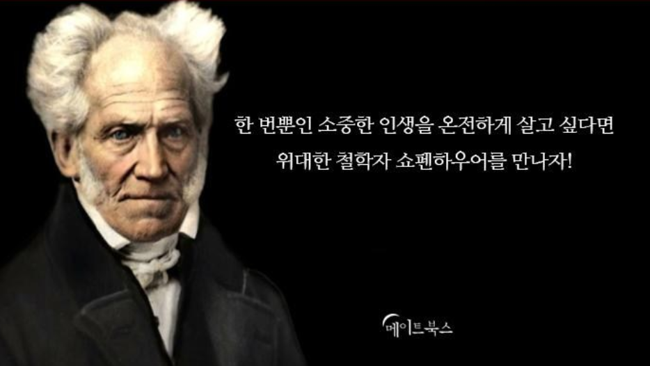 쇼펜하우어의 인생수업