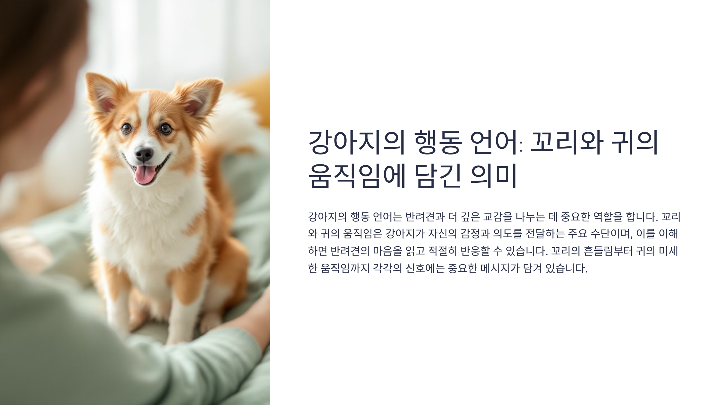 강아지의 행동 언어: 꼬리와 귀의 움직임에 담긴 의미