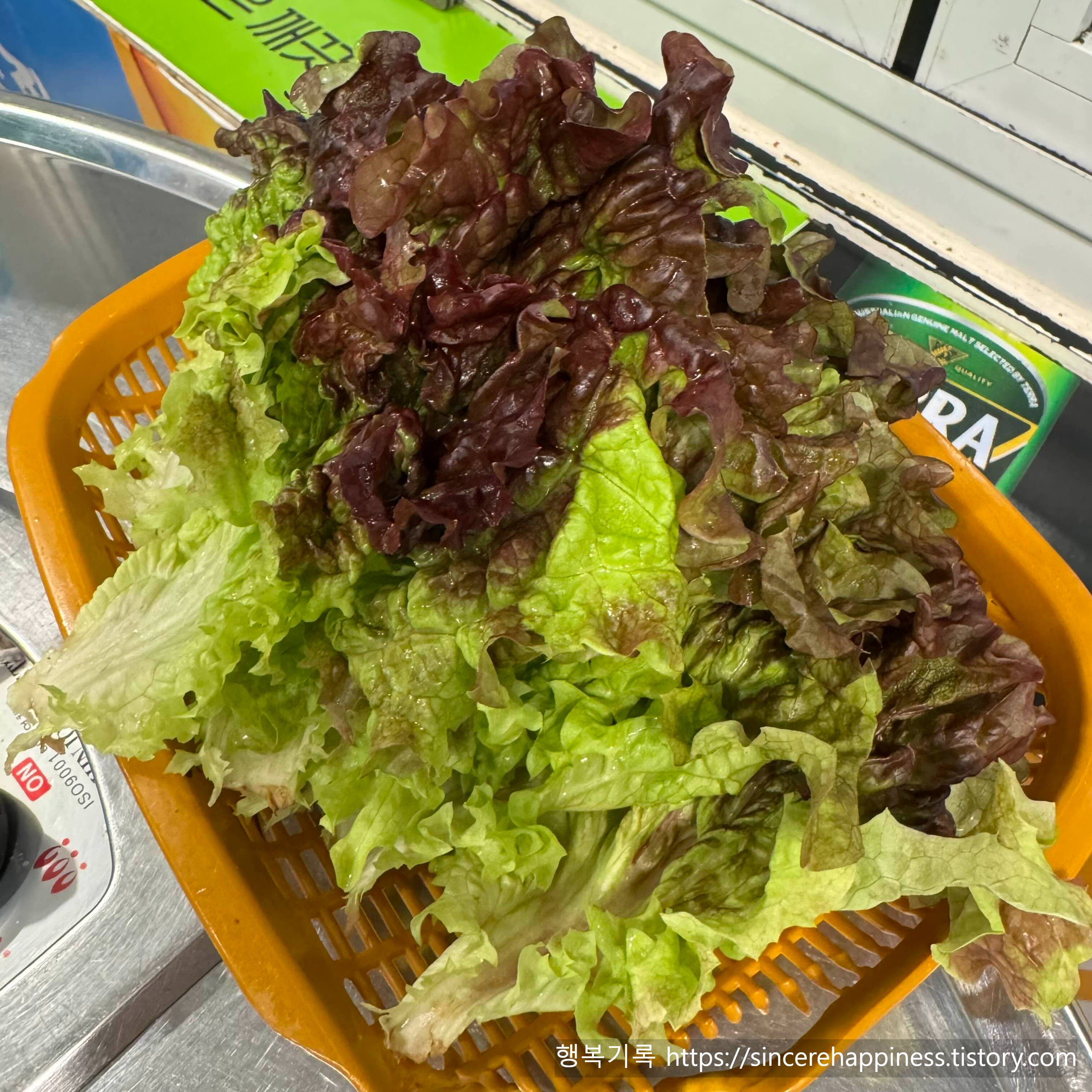 삼성동 고기집 돈꼬레의 신선한 쌈채소 상추 바구니