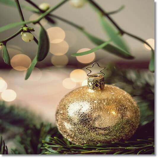 미슬토 효능 6가지