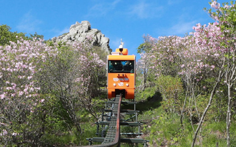 대봉산 모노레일