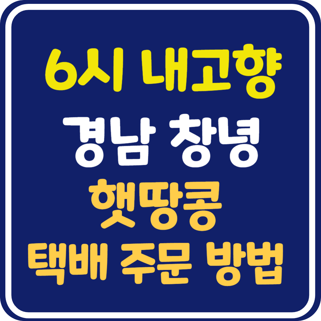 6시 내고향 경남 창녕 햇땅콩 택배 주문 방법