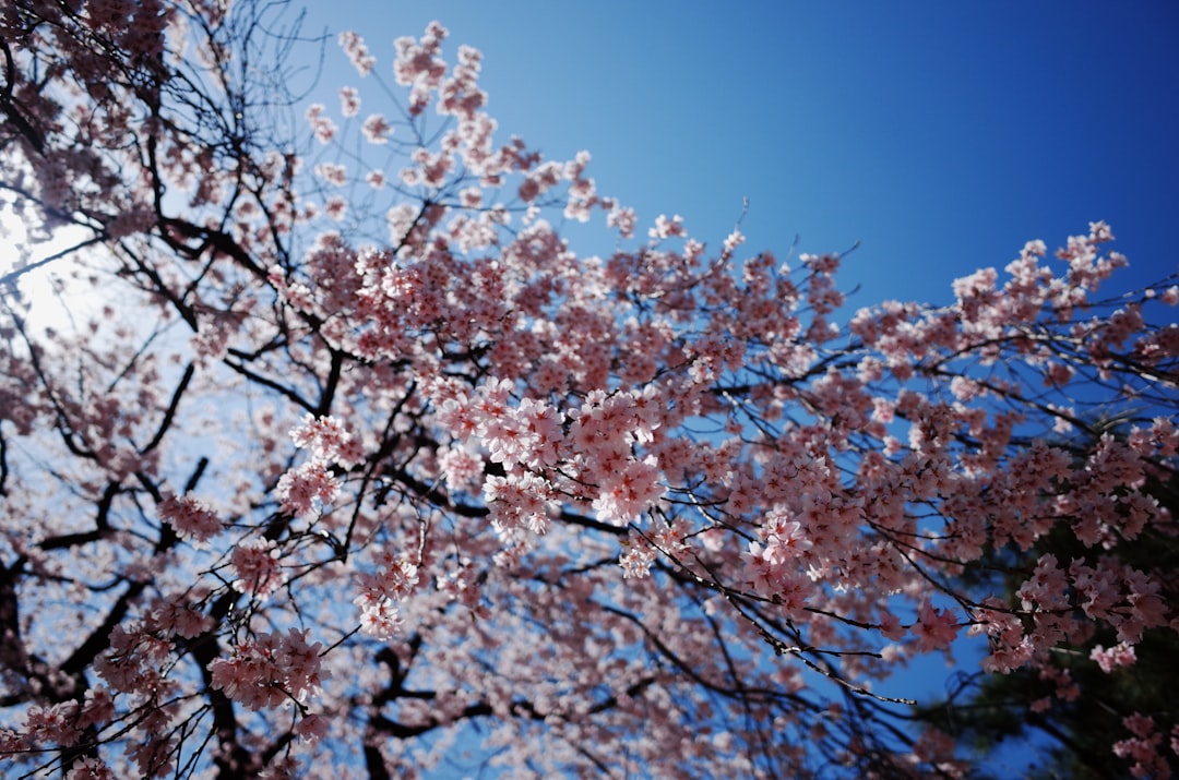 Deoksugung