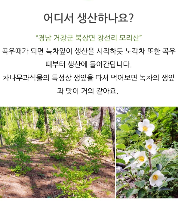 동네한바퀴-거창-노각차-권영익