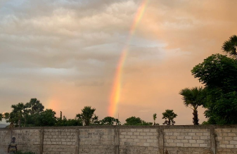 쿠팡 와우 월회비 9