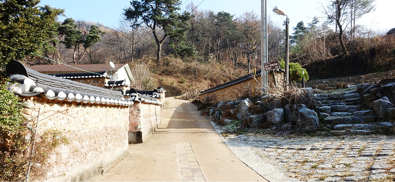 2025 증평인삼골축제&amp;#44;인삼 체험 축제