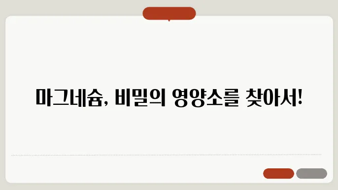 마그네슘 섭취방법