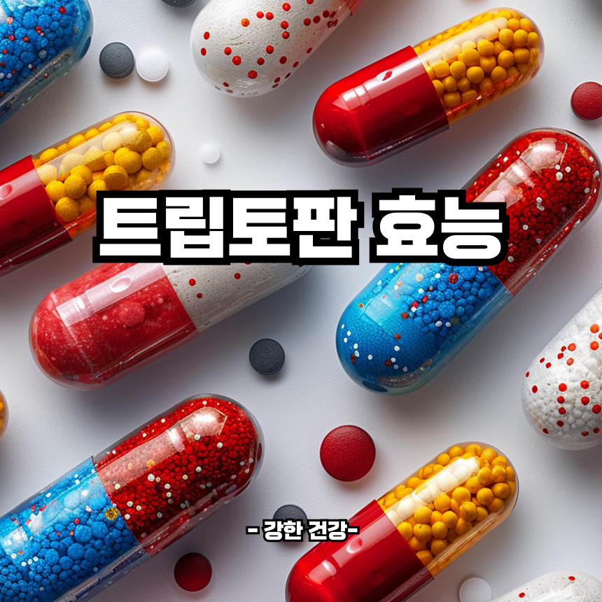 트립토판 효능