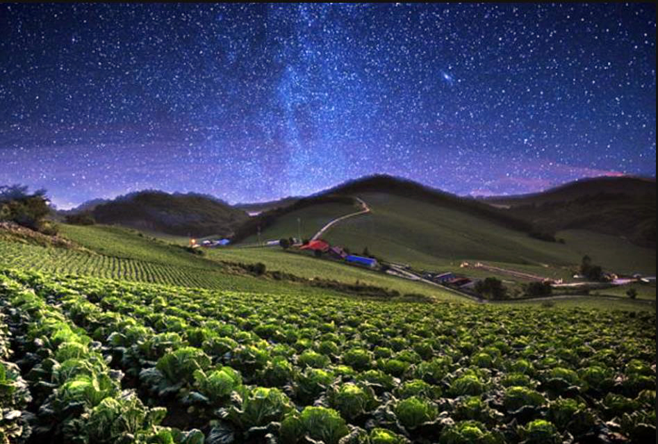 강릉 안반데기 멍에 전망대 주차장