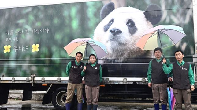 푸바오 반환 에버랜드 떠나는날 환송식 생중계 중국 소식 정리