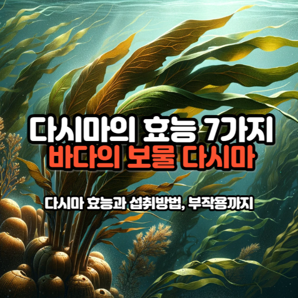 다시마의 효능 7가지