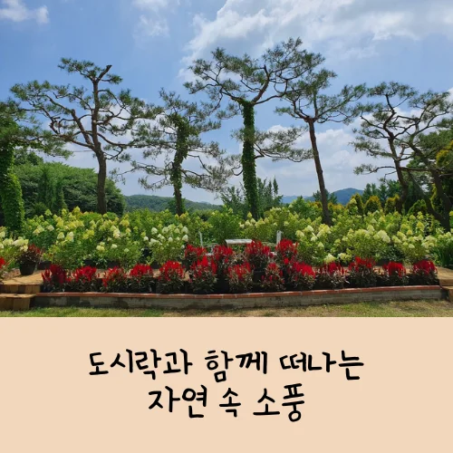 율봄식물원 수국 축제