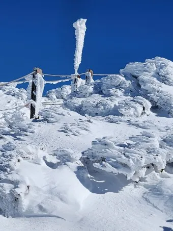 한라산 탐방로예약 시스템 등산 코스_8