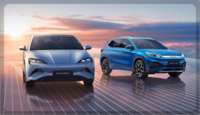 BYD 전기차의 한국 진출, 시장 경쟁력, 시장 전망