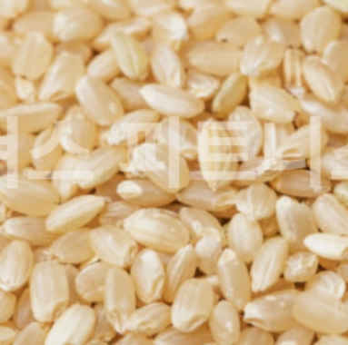 에너지를 공급해주는 탄수화물 현미