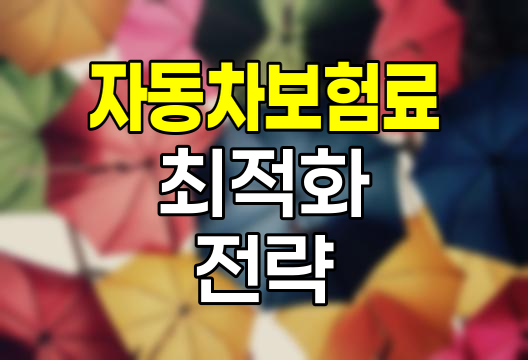 자동차보험료 최적화 전략, 연령별 차종별 분석