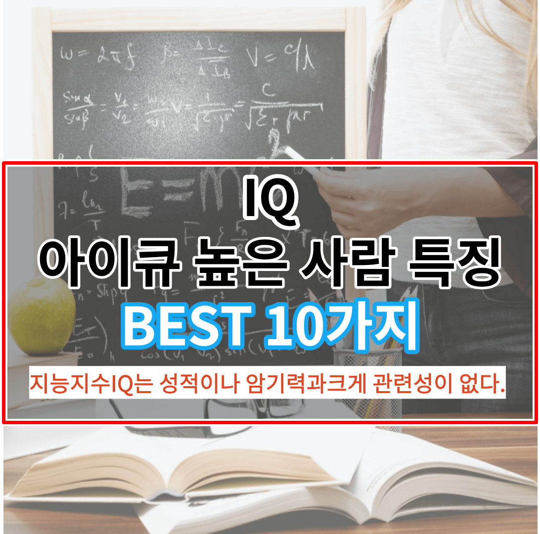 아이큐 높은 사람 특징
