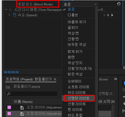 선명한 라이트