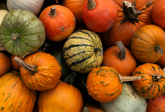 소고기 이유식 궁합음식