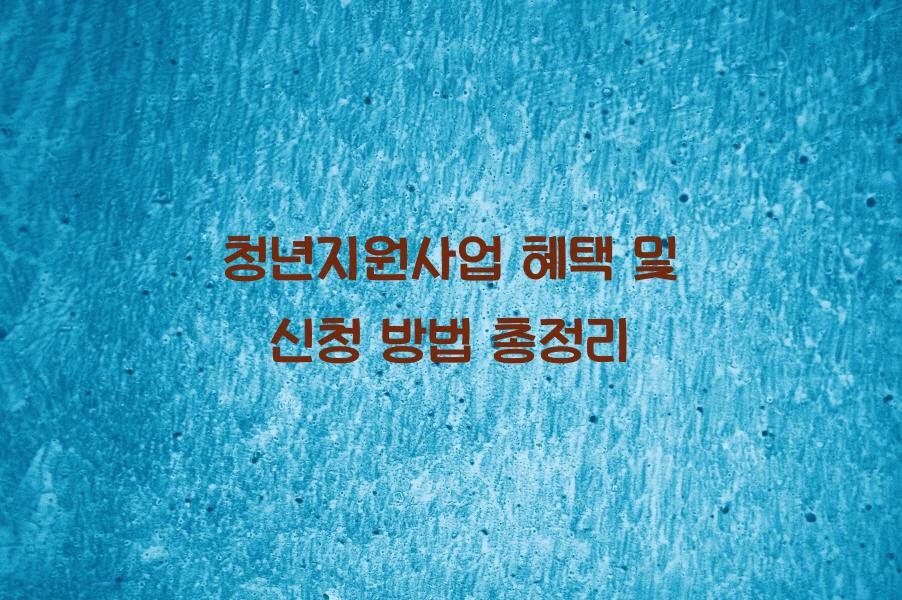 청년지원사업