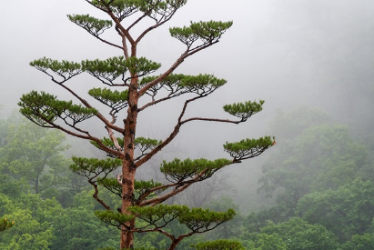 신용정보 조회 마이크레딧&amp;#44;올크레딧&amp;#44;파인