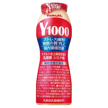 Y1000 사진