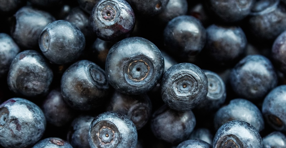 여러 개의 아사이베리