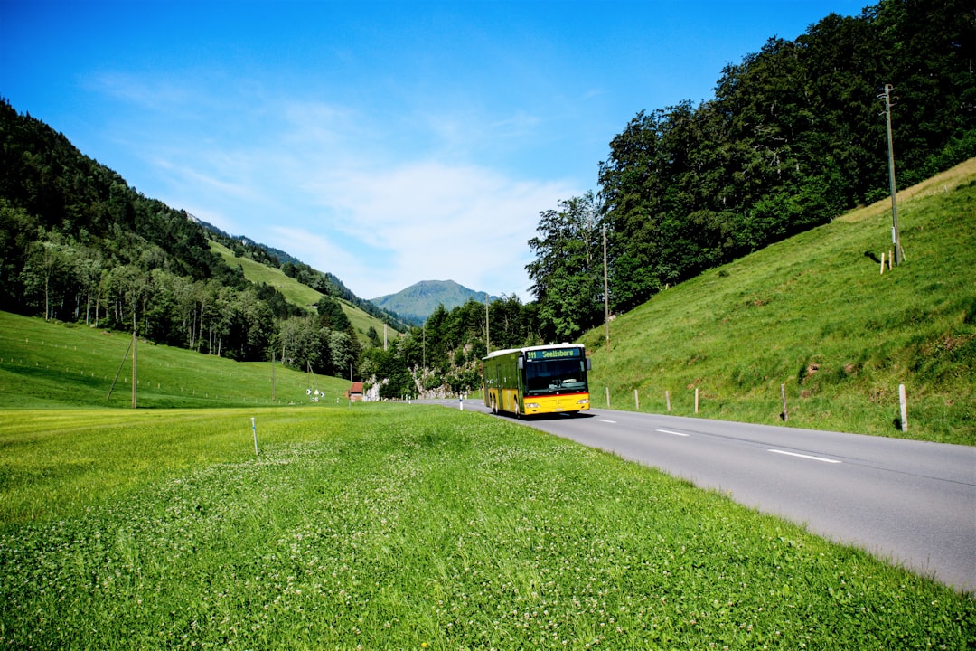 Bus