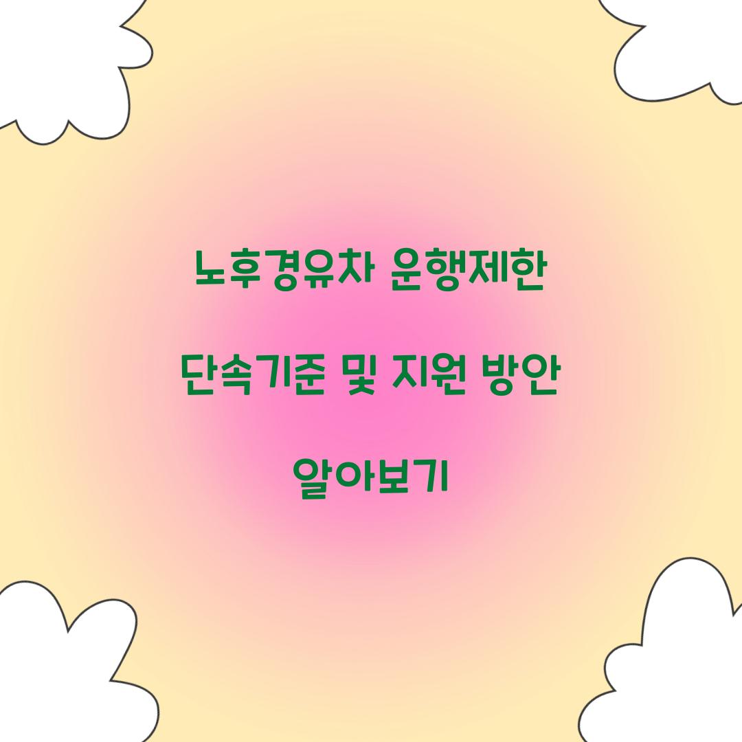 노후경유차 운행제한 단속기준