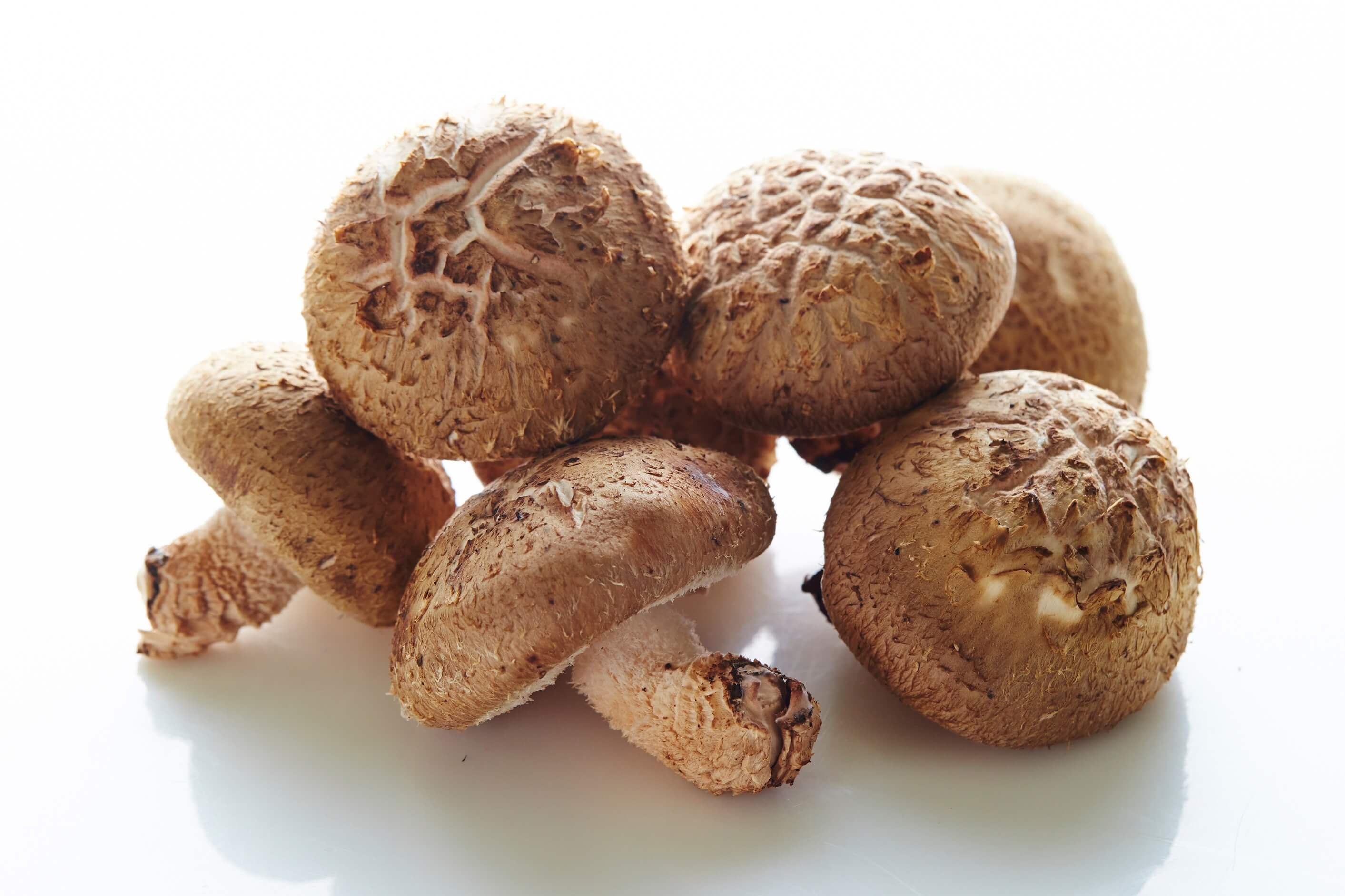 가을 제철 음식