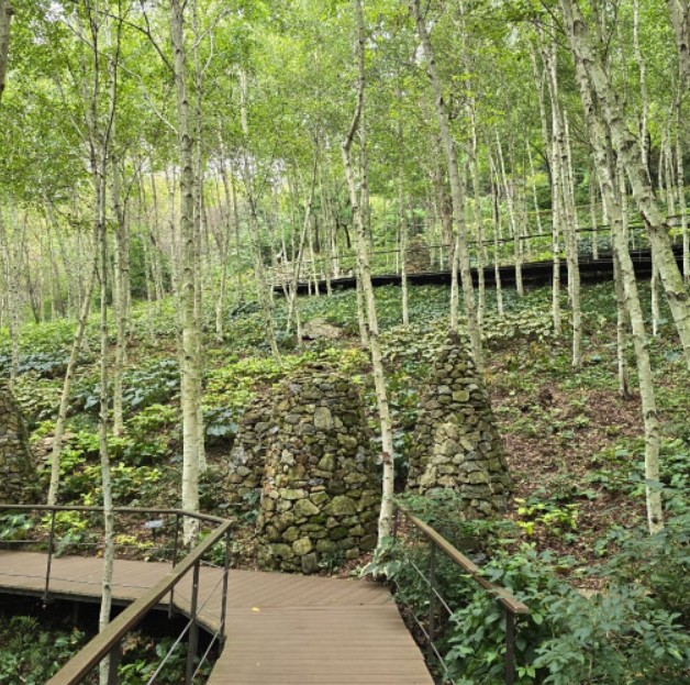 화담숲 모노레일 시간 간격 & 예약 꿀팁 총정리(+2025)