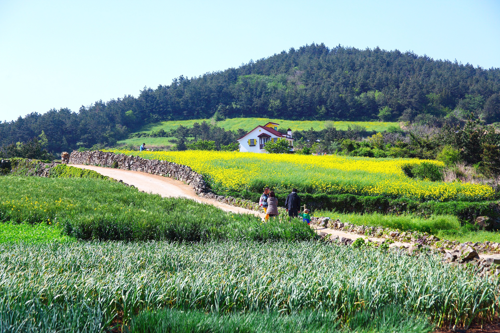 숙바세일 페스타, 숙박할인원, 문화체육관광부, 2025, 여름