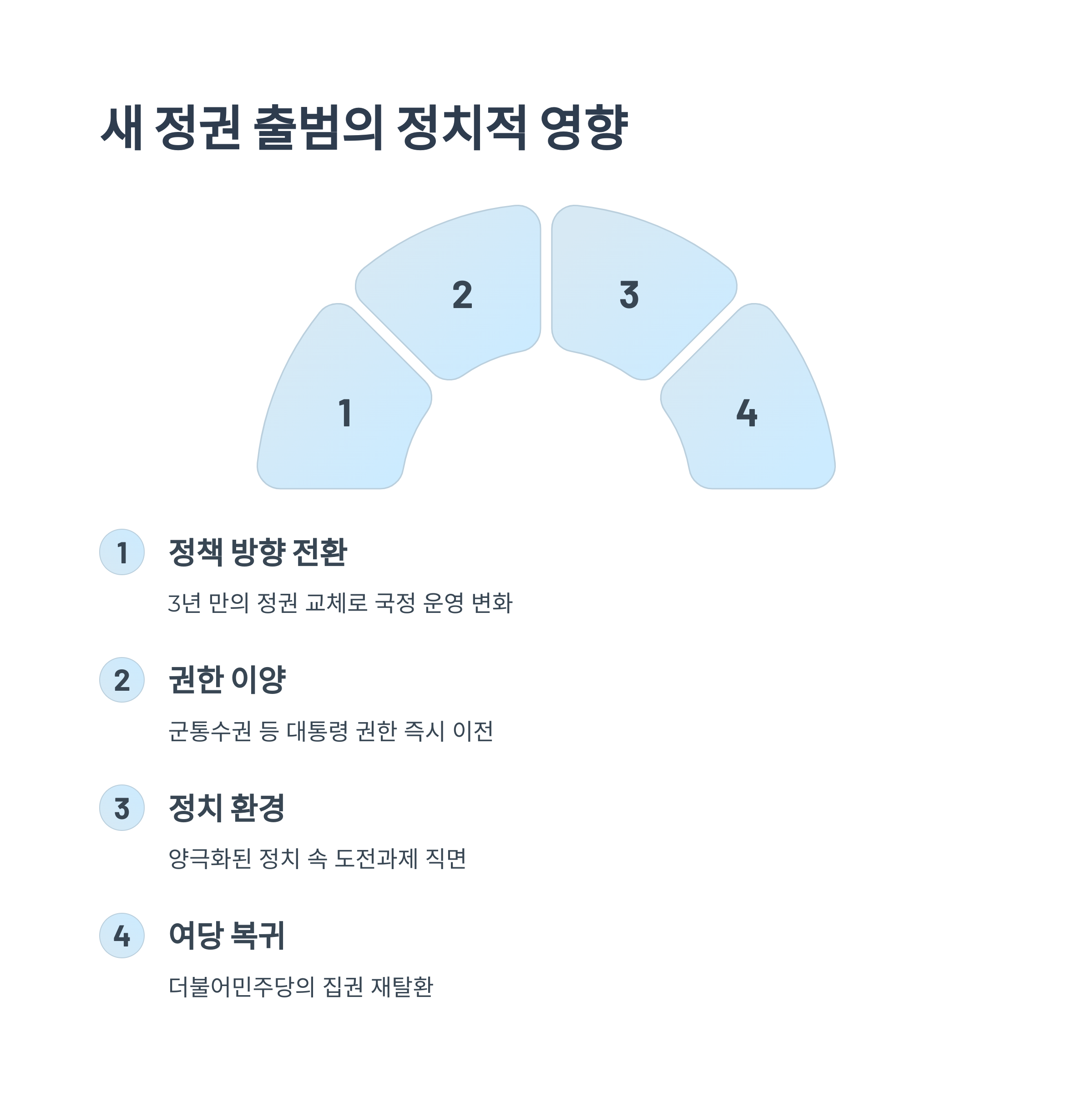 국내 정치에 미치는 영향