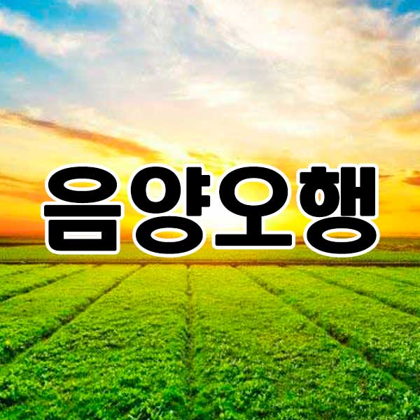 음양오행 썸네일