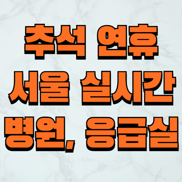 추석 연휴 서울 응급실 병원 약국 실시간 가까운위치