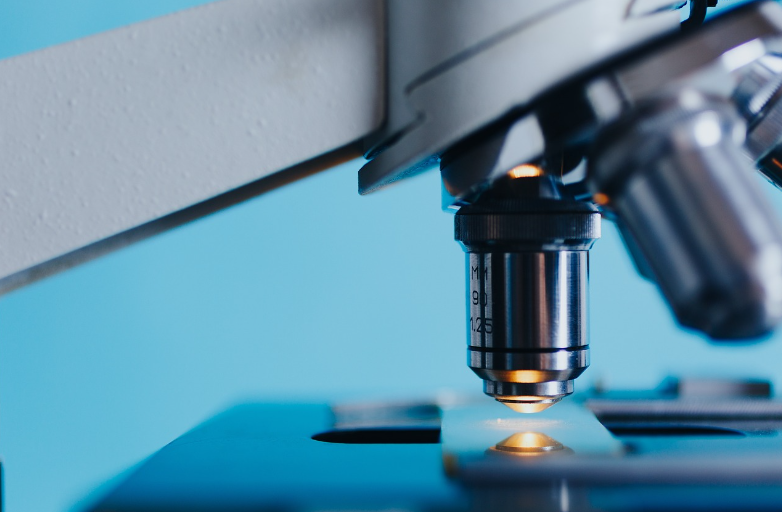 메디아나-주가-전망-배당금-알아보기