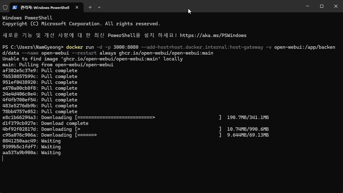 Deepseek 딥시크를 내 PC 에 설치해서 사용하는 방법 캡처 8